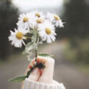 Meet your Posher, Layla